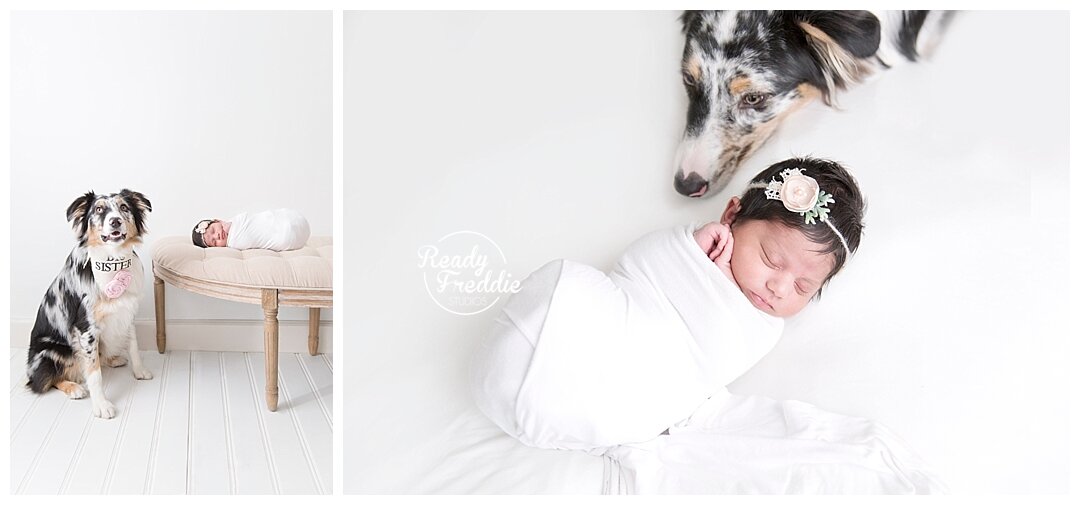 Baby and Puppy at the Fort Lauderdale newborn photography studio with Ivanna Vidal
