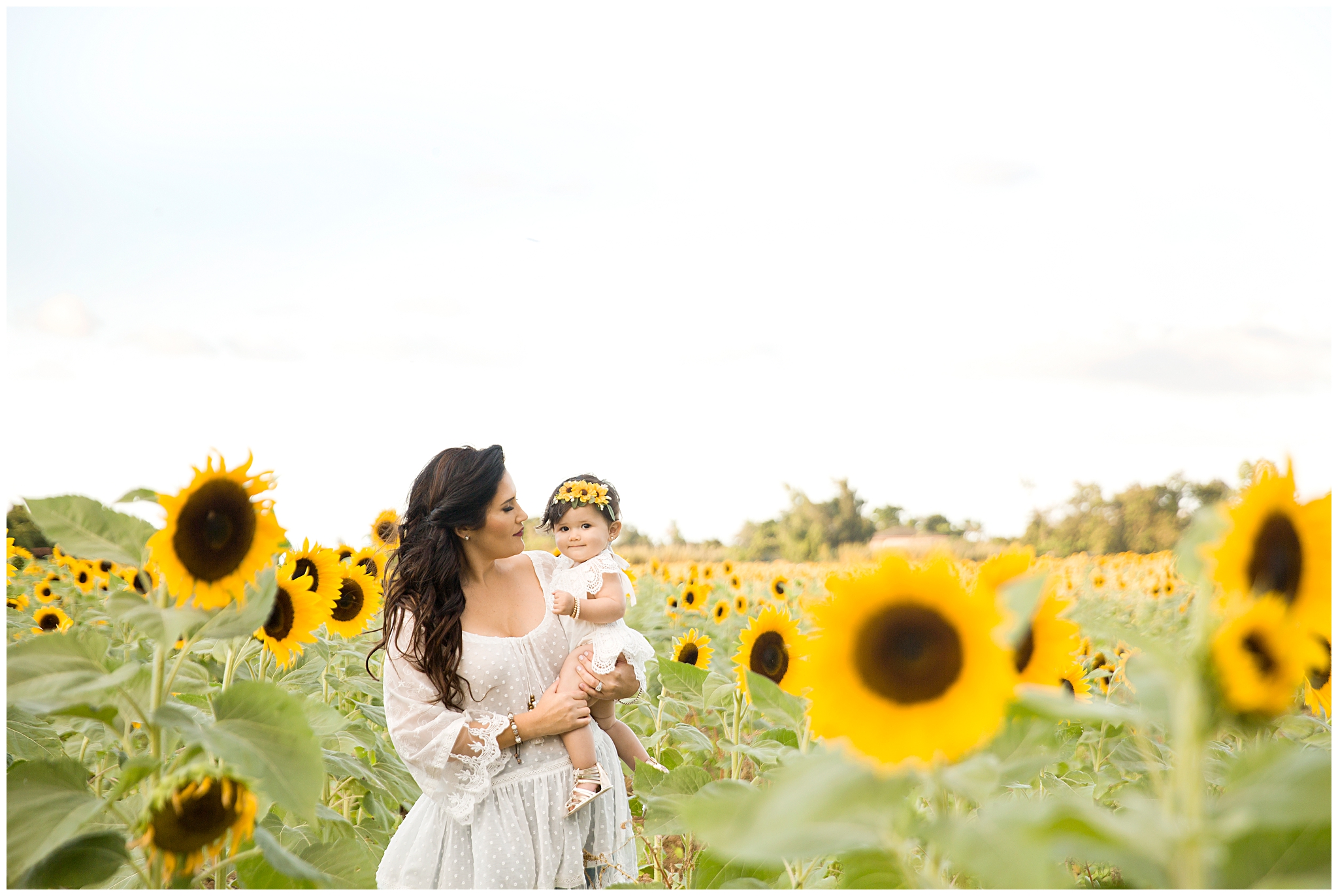Sunflower field in Miami with Best Family Photographer