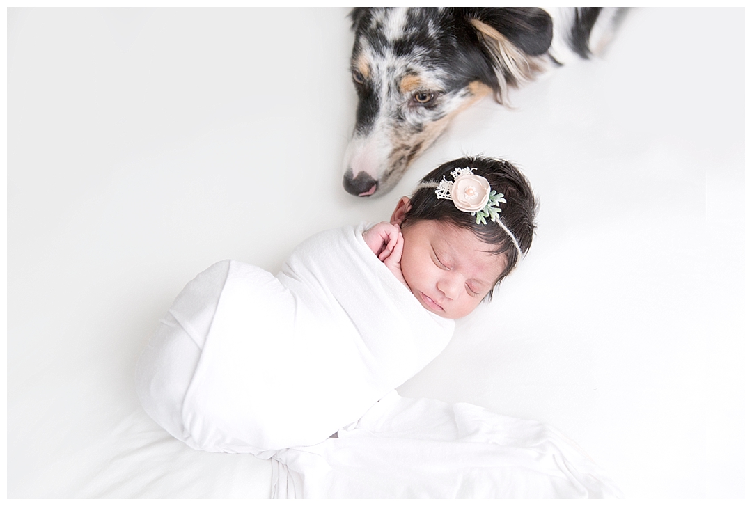 newborn baby and puppy | newborn session in miami fl